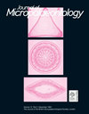 JOURNAL OF MICROPALAEONTOLOGY雜志封面